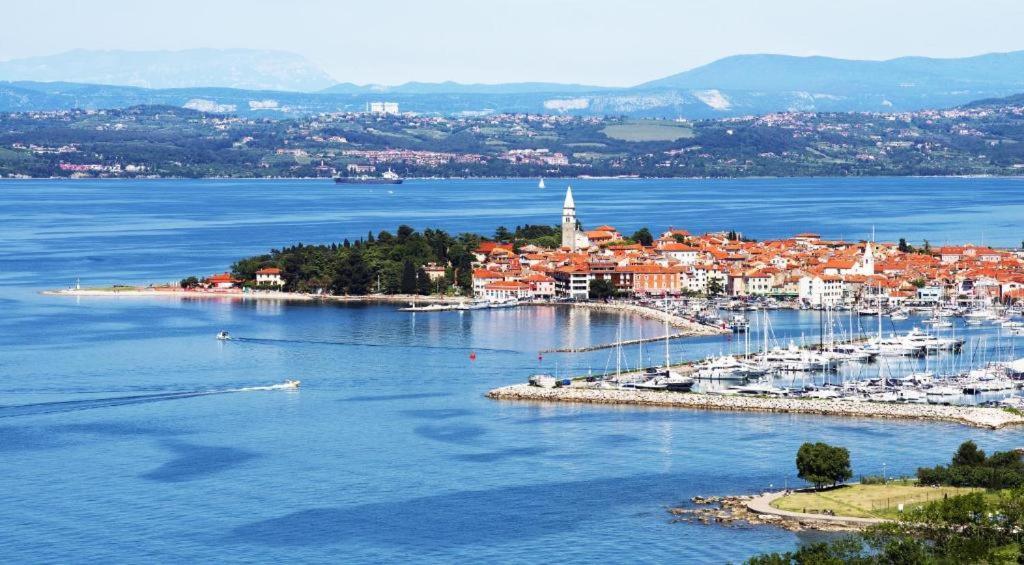 Villa Noa Jacuzzi & Sauna Izola Bagian luar foto